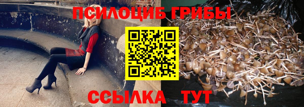 Бор  Галлюциногенные грибы Magic Shrooms  Псилоцибиновые грибы MAGIC MUSHROOMS  Вход с VPN 